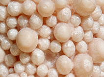 Synthetic Wax Beads