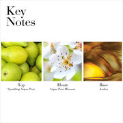 Key Notes- Top Sparkling Anjou Pear, Heart Anjou Pear Blossom, Base Amber